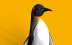 pinguin_1